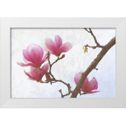 Painted Magnolias I White Modern Wood Framed Art Print by Vest, Chris