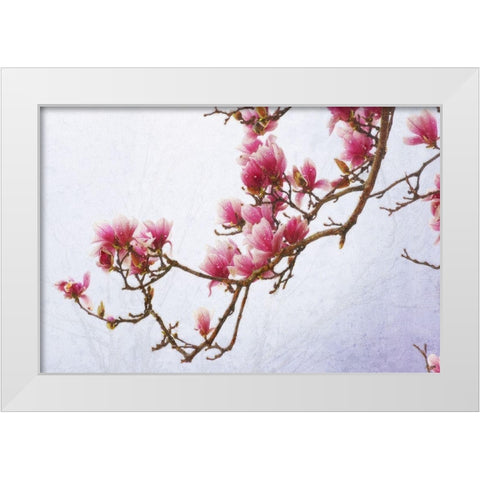 Painted Magnolias II White Modern Wood Framed Art Print by Vest, Chris