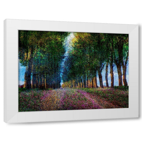 Row of Trees Provence White Modern Wood Framed Art Print by Vest, Chris