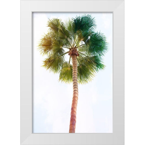 Palmetto I White Modern Wood Framed Art Print by Hartson-Weddle, Ryan