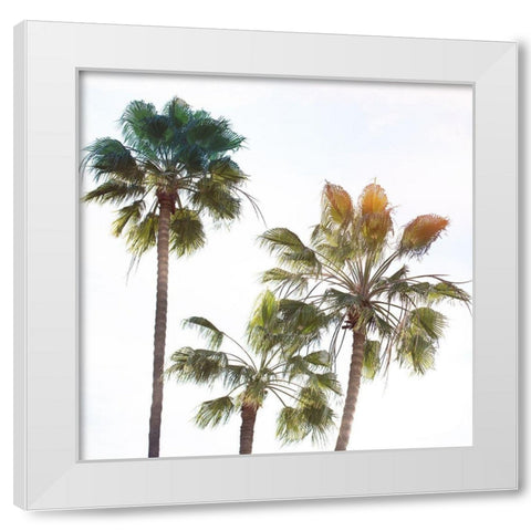 Palmetto III White Modern Wood Framed Art Print by Hartson-Weddle, Ryan