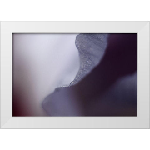 Haunting I White Modern Wood Framed Art Print by Stalus, Judy