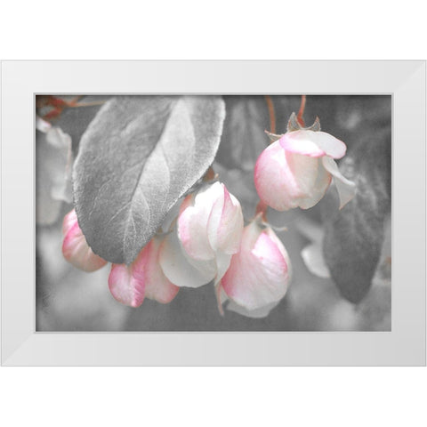 Gray Velvet I White Modern Wood Framed Art Print by Stalus, Judy