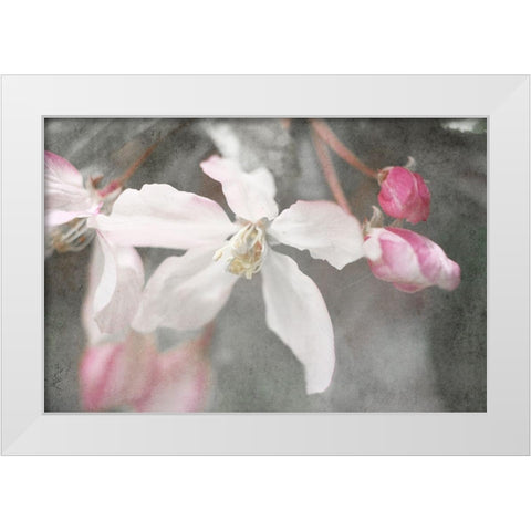 Gray Velvet II White Modern Wood Framed Art Print by Stalus, Judy