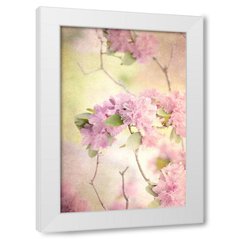 Reaching for the Sky I White Modern Wood Framed Art Print by Stalus, Judy
