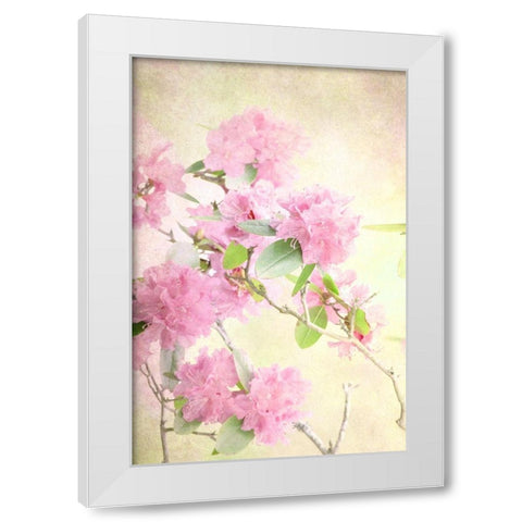 Reaching for the Sky II White Modern Wood Framed Art Print by Stalus, Judy