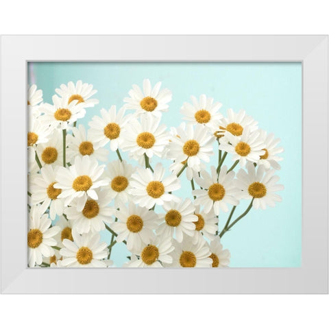 Daisy Love II White Modern Wood Framed Art Print by Stalus, Judy