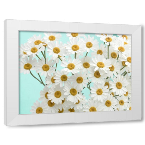 Daisy Love III White Modern Wood Framed Art Print by Stalus, Judy