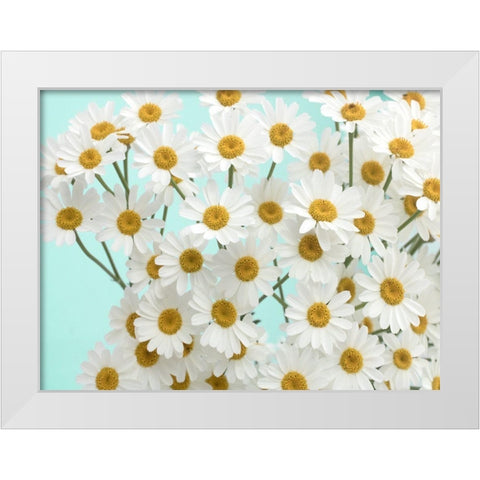 Daisy Love III White Modern Wood Framed Art Print by Stalus, Judy