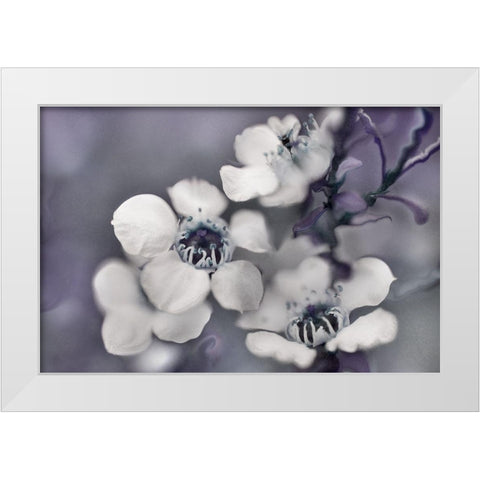 Tales from an Enchanted Glen II White Modern Wood Framed Art Print by Hunt, Gillian