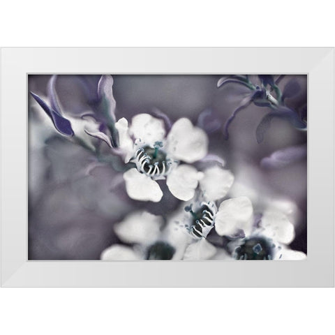 Tales from an Enchanted Glen III White Modern Wood Framed Art Print by Hunt, Gillian