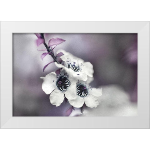 Tales from an Enchanted Glen V White Modern Wood Framed Art Print by Hunt, Gillian