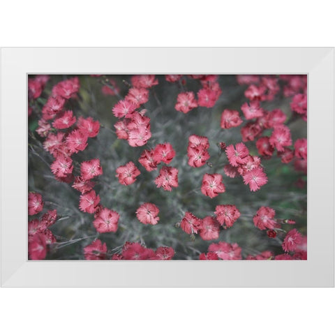 Natures Textures I White Modern Wood Framed Art Print by Stramel, Renee W.