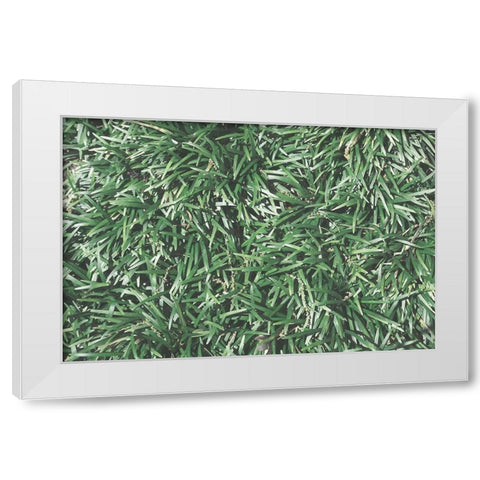 Natures Textures II White Modern Wood Framed Art Print by Stramel, Renee W.