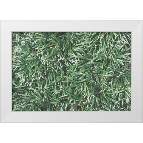 Natures Textures II White Modern Wood Framed Art Print by Stramel, Renee W.