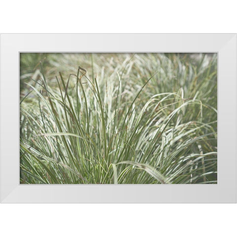 Natures Textures IV White Modern Wood Framed Art Print by Stramel, Renee W.