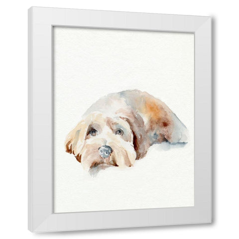 Scruffy Puppy II White Modern Wood Framed Art Print by Parker, Jennifer Paxton