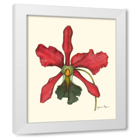 Majestic Orchid IV White Modern Wood Framed Art Print by Goldberger, Jennifer