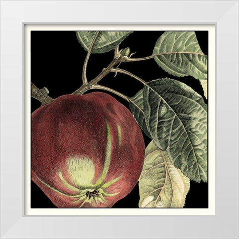 Dramatic Apple White Modern Wood Framed Art Print by Vision Studio