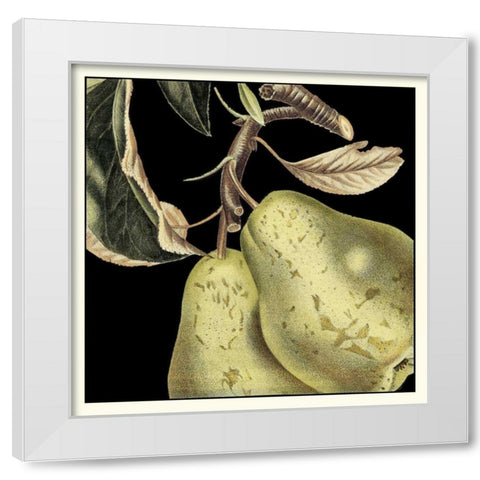 Dramatic Pear White Modern Wood Framed Art Print by Vision Studio