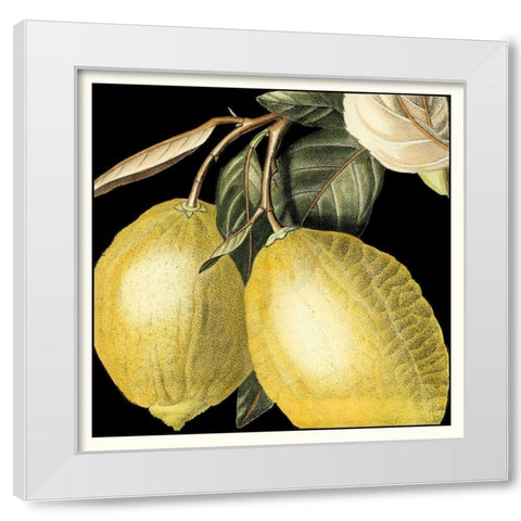 Dramatic Lemon White Modern Wood Framed Art Print by Vision Studio