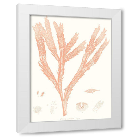 Vivid Coral Seaweed II White Modern Wood Framed Art Print by Vision Studio
