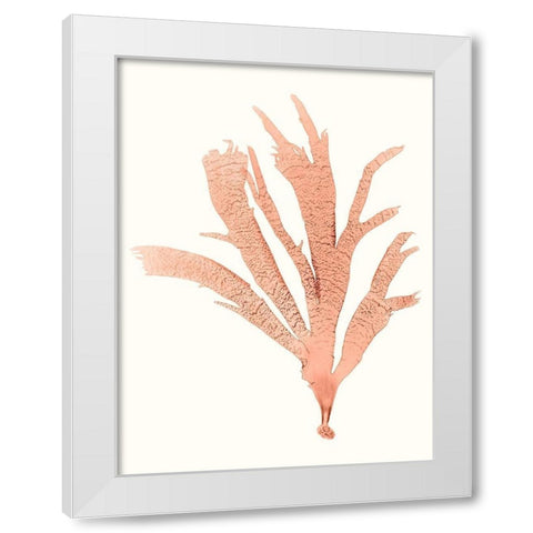 Vivid Coral Seaweed IV White Modern Wood Framed Art Print by Vision Studio
