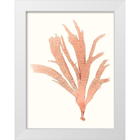 Vivid Coral Seaweed IV White Modern Wood Framed Art Print by Vision Studio