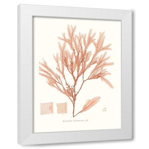 Vivid Coral Seaweed V White Modern Wood Framed Art Print by Vision Studio