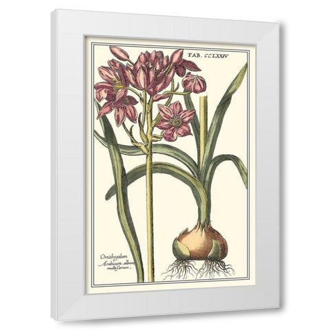 Botanical Beauty I White Modern Wood Framed Art Print by Vision Studio