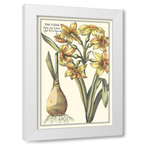 Botanical Beauty IV White Modern Wood Framed Art Print by Vision Studio