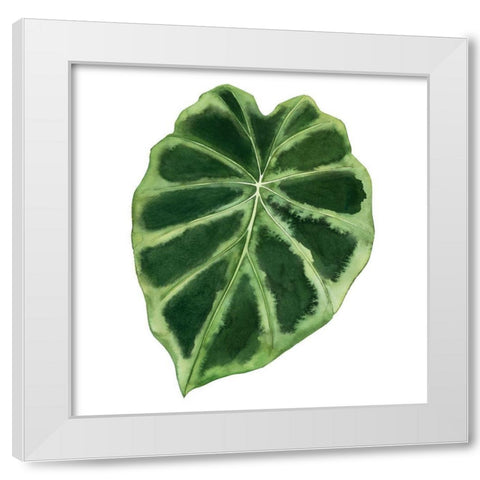 Rainforest Jewel III White Modern Wood Framed Art Print by Popp, Grace