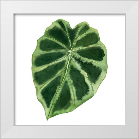 Rainforest Jewel III White Modern Wood Framed Art Print by Popp, Grace