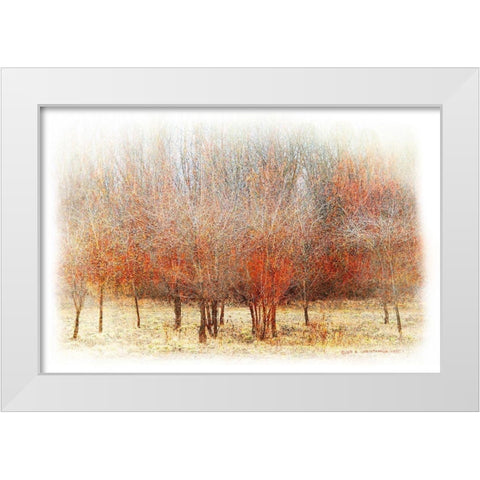 Row of Red Trees White Modern Wood Framed Art Print by Vest, Chris