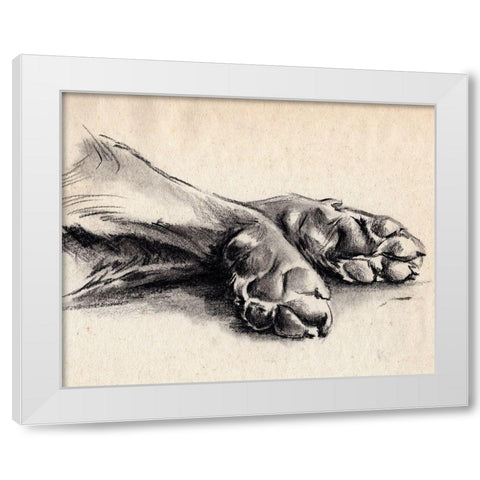 Charcoal Paws II White Modern Wood Framed Art Print by Parker, Jennifer Paxton