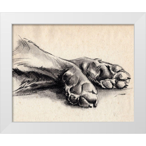 Charcoal Paws II White Modern Wood Framed Art Print by Parker, Jennifer Paxton