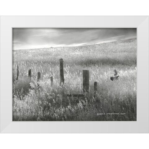 Fence Line Flight II White Modern Wood Framed Art Print by Vest, Chris
