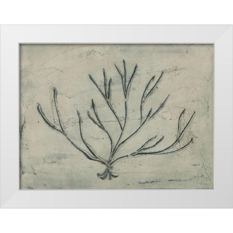 Sea Bevy III White Modern Wood Framed Art Print by Stramel, Renee W.