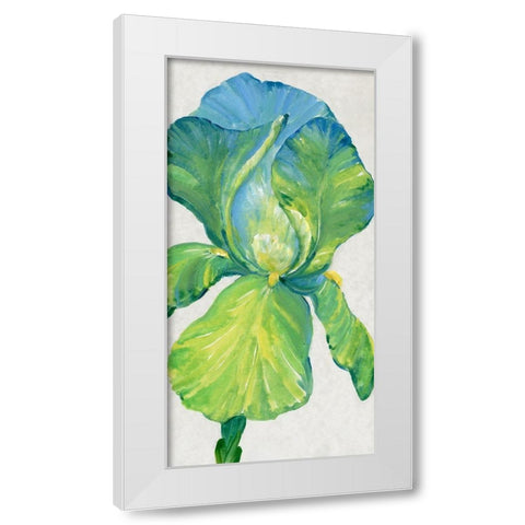 Iris Bloom in Green II White Modern Wood Framed Art Print by OToole, Tim