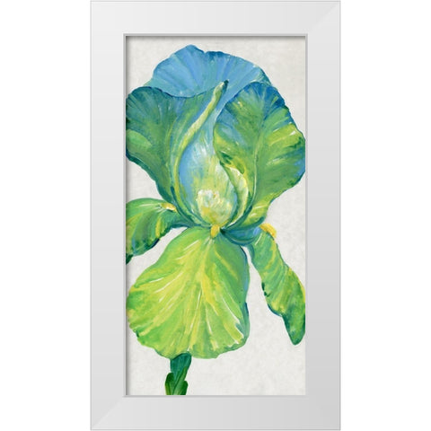 Iris Bloom in Green II White Modern Wood Framed Art Print by OToole, Tim