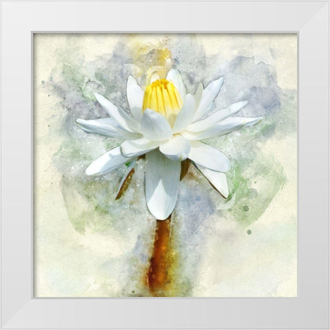 Pretty in Pastel II White Modern Wood Framed Art Print by Robertson, Leda
