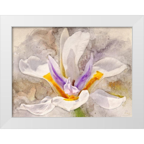 Playful Petals I White Modern Wood Framed Art Print by Robertson, Leda