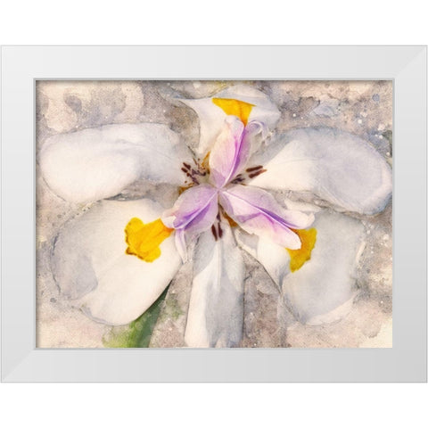 Playful Petals II White Modern Wood Framed Art Print by Robertson, Leda