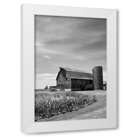 Farm Serenity II White Modern Wood Framed Art Print by Robertson, Leda