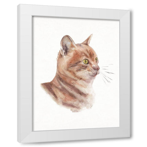 Orange Cat I White Modern Wood Framed Art Print by Wang, Melissa