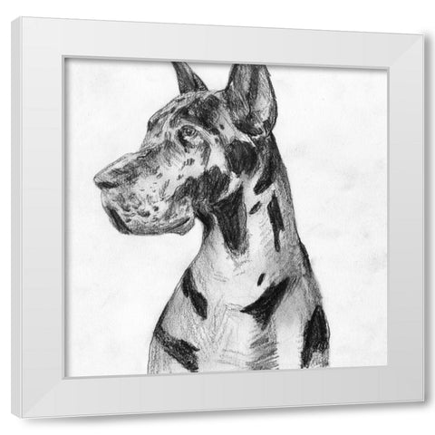 Great Dane Portrait I White Modern Wood Framed Art Print by Wang, Melissa