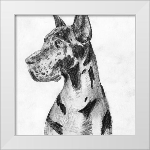 Great Dane Portrait I White Modern Wood Framed Art Print by Wang, Melissa