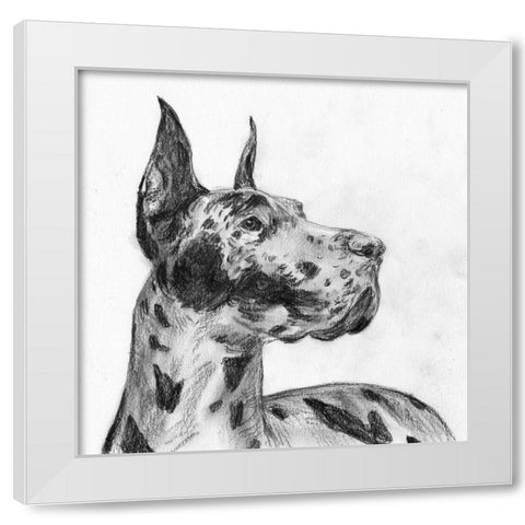 Great Dane Portrait II White Modern Wood Framed Art Print by Wang, Melissa