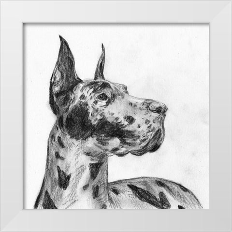 Great Dane Portrait II White Modern Wood Framed Art Print by Wang, Melissa