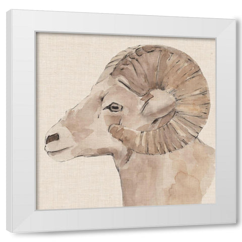 Bighorn Profile I White Modern Wood Framed Art Print by Warren, Annie